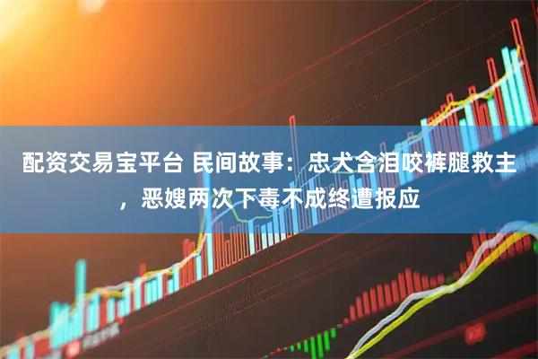 配资交易宝平台 民间故事：忠犬含泪咬裤腿救主，恶嫂两次下毒不成终遭报应