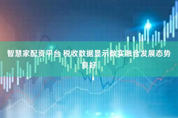 智慧家配资平台 税收数据显示数实融合发展态势良好
