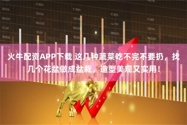 火牛配资APP下载 这几种蔬菜吃不完不要扔，找几个花盆做成盆栽，造型美观又实用！
