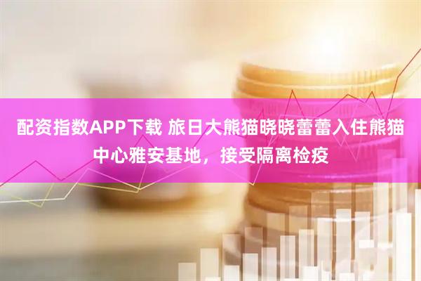 配资指数APP下载 旅日大熊猫晓晓蕾蕾入住熊猫中心雅安基地，接受隔离检疫