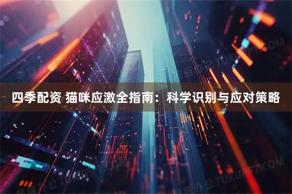 四季配资 猫咪应激全指南：科学识别与应对策略