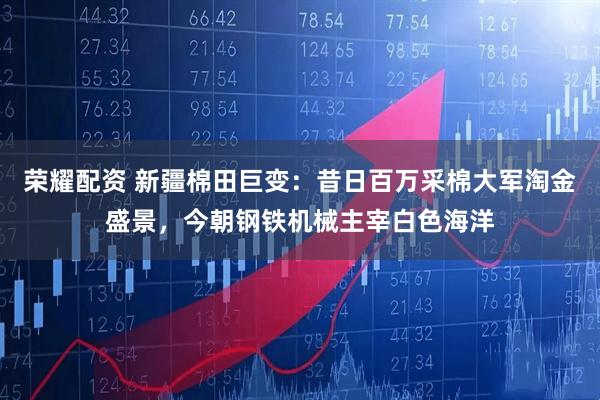 荣耀配资 新疆棉田巨变：昔日百万采棉大军淘金盛景，今朝钢铁机械主宰白色海洋